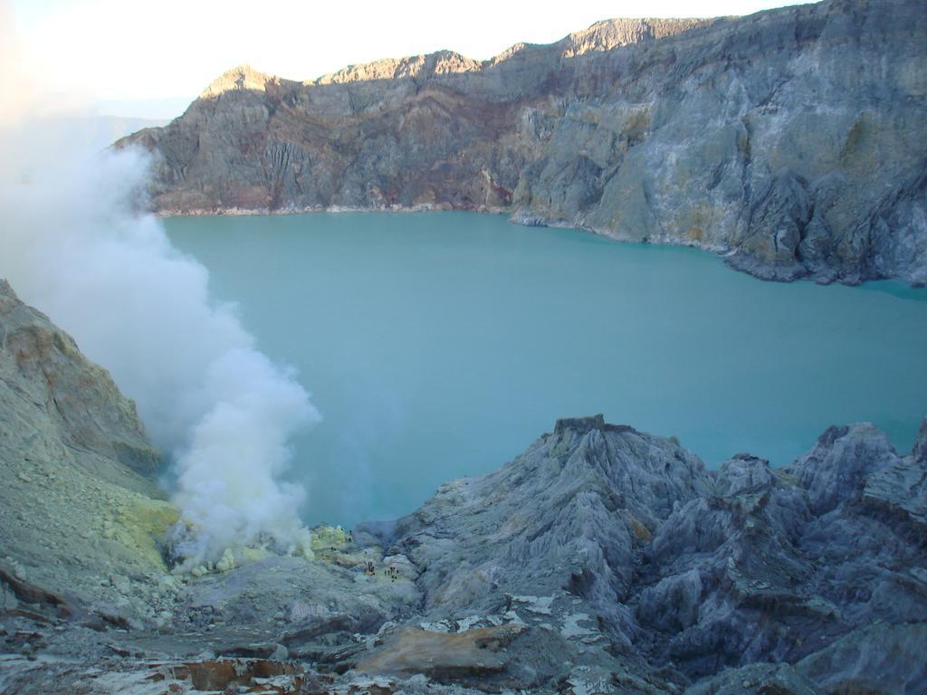 Thalia Homestay & Ijen Bromo Tour Баньювангі Екстер'єр фото